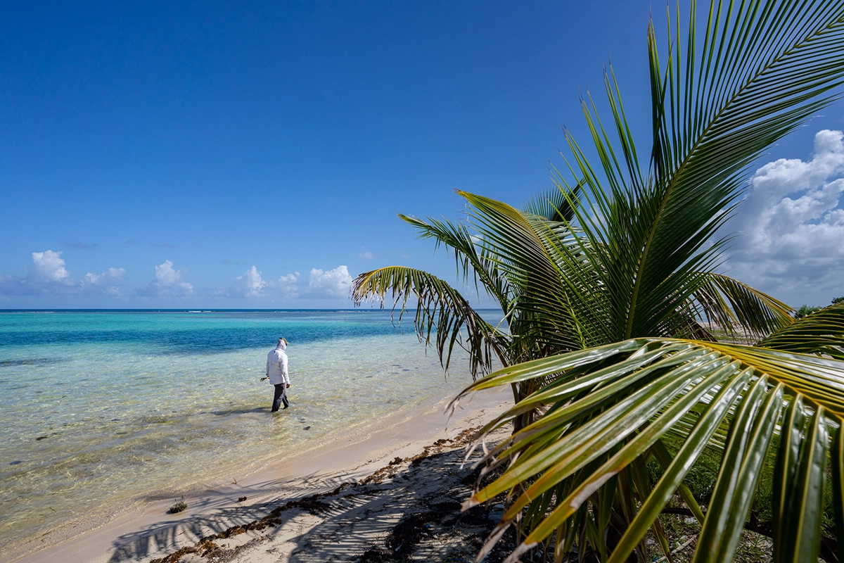 Pescador caminando por la costa en las llanuras de Belice con una caña de pescar.