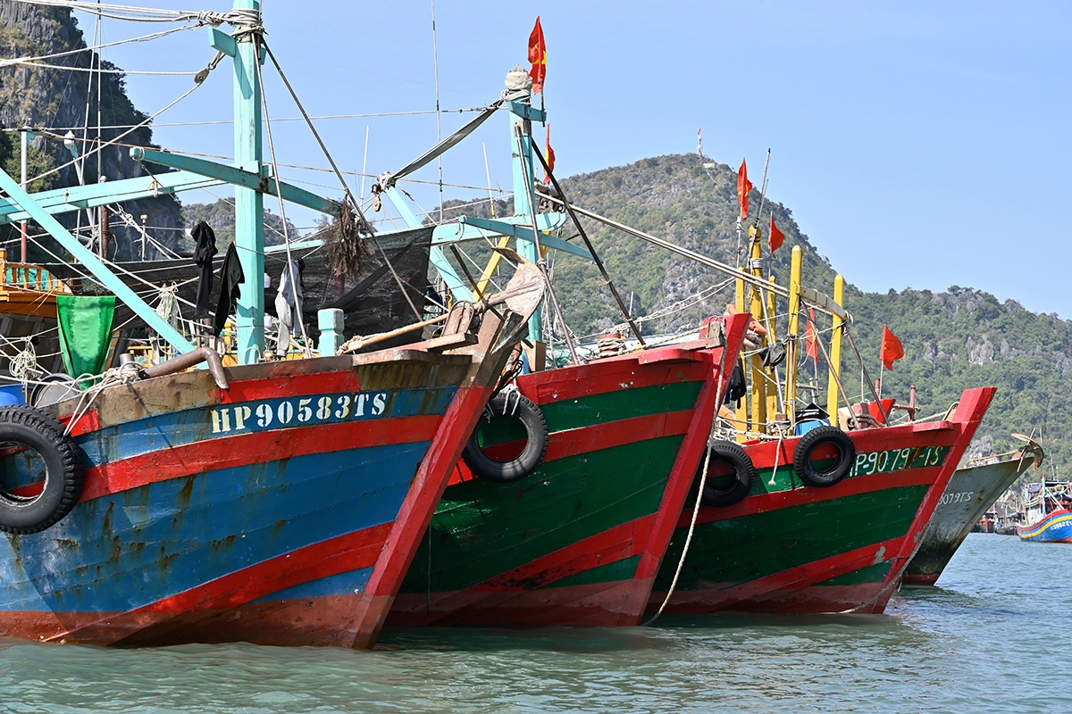 Barcos de pesca de madeira coloridos alinhados na água em Hạ Long Bay, fotografados com a Tamron 28-75mm F2.8 G2.