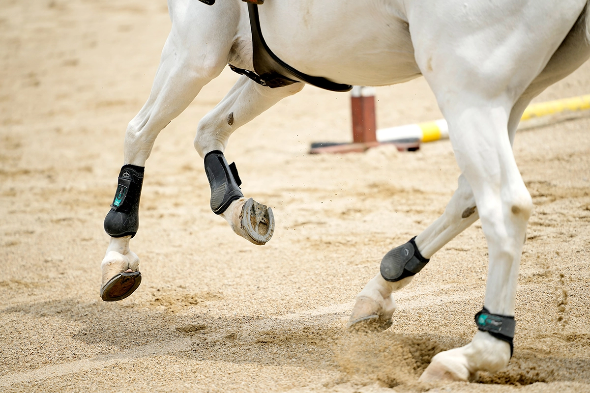 Close-up of a horse&rsquo;s legs kicking up sand during equestrian action photography, captured with the Tamron 70-180mm F2.8 G2.