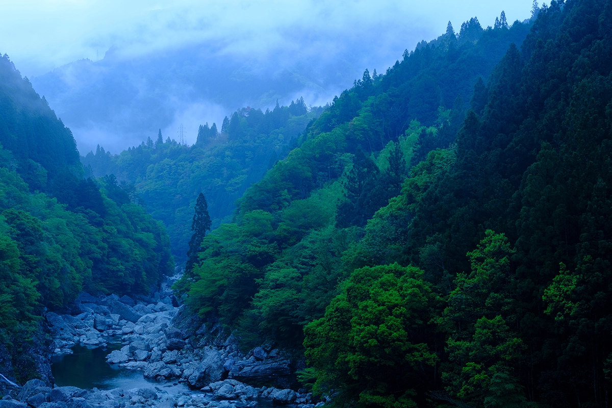 Paisagem de montanha em tons de azul com neblina, floresta sempre verde e rochas ao longo do rio.