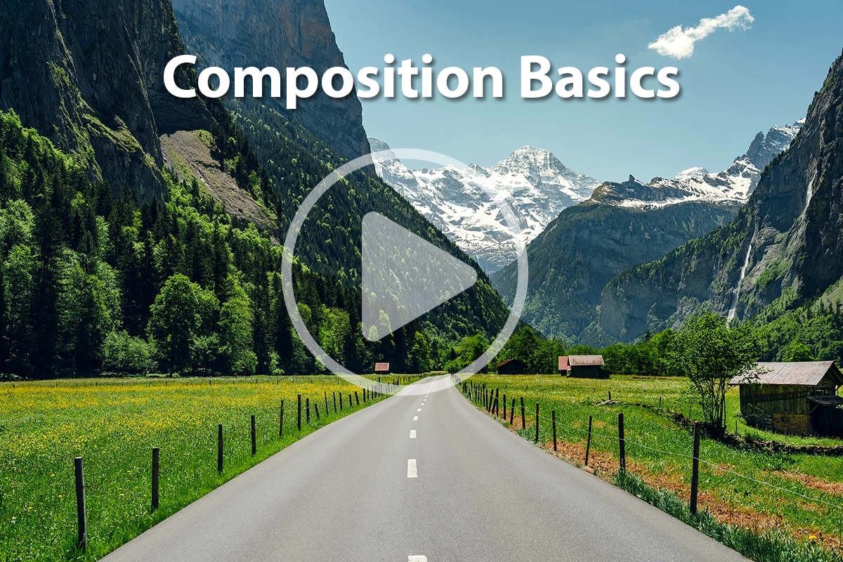 Thumbnail for video of composition basics in 30 seconds.