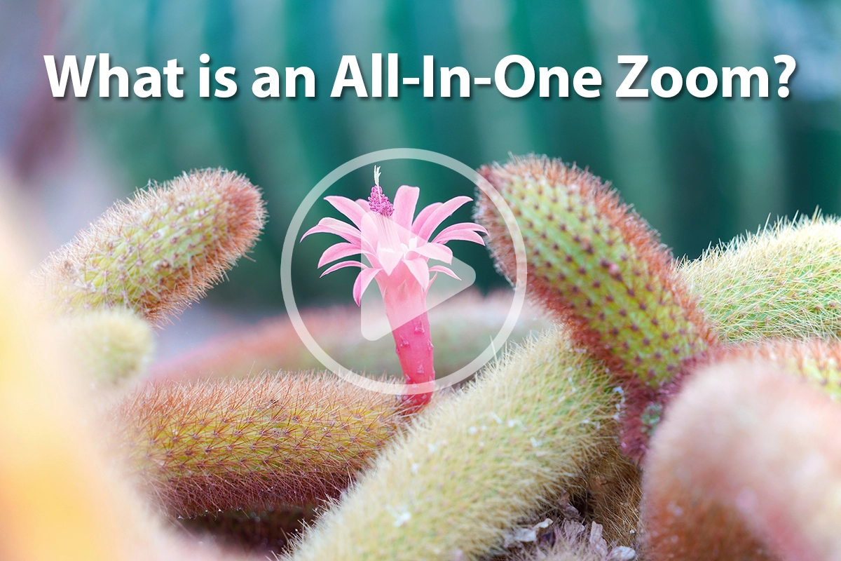 Miniatura do vídeo que explica o que é uma lente de zoom multifuncional em 30 segundos.