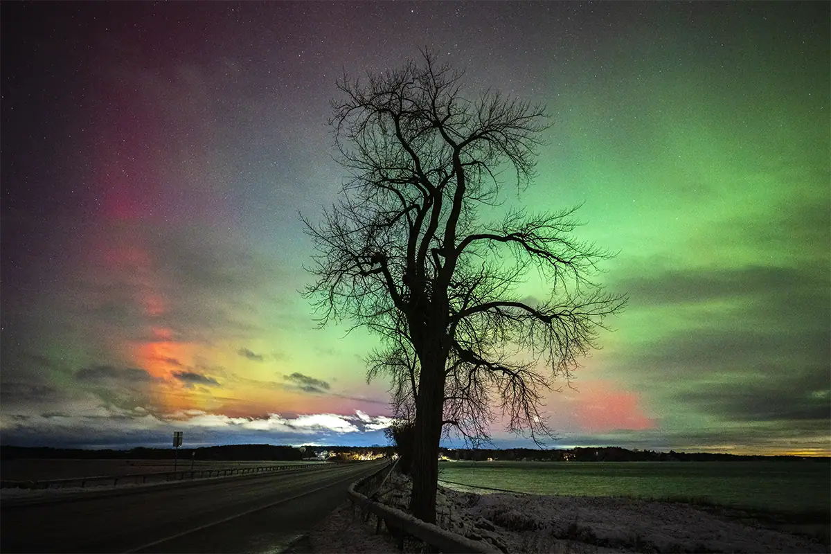 Cielo nocturno colorido con estrellas y la silueta de un árbol sobre un paisaje invernal.