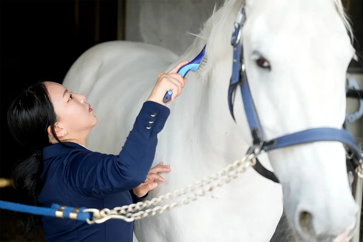 Una mujer cepillando un caballo blanco en un establo durante una sesión de retratos ambientales que muestra su actividad y el entorno.