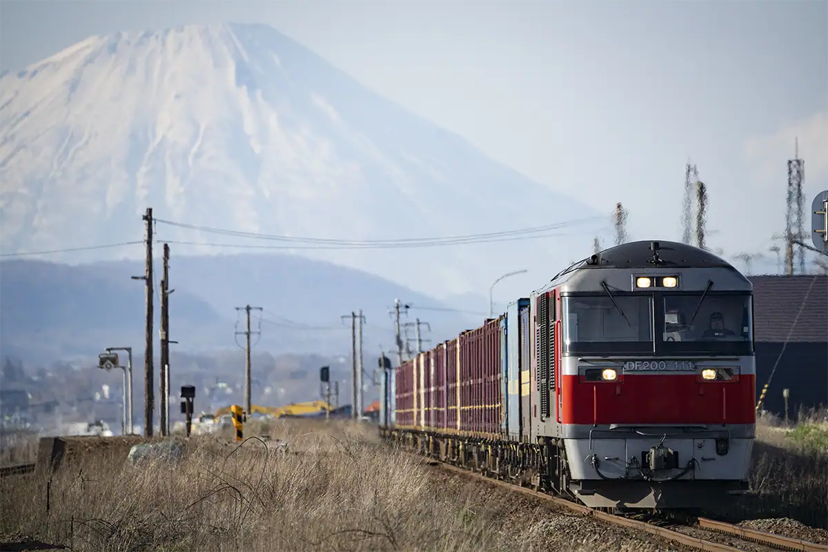 Telephoto photo of a freight train with a large snow-covered mountain compressed in the background.