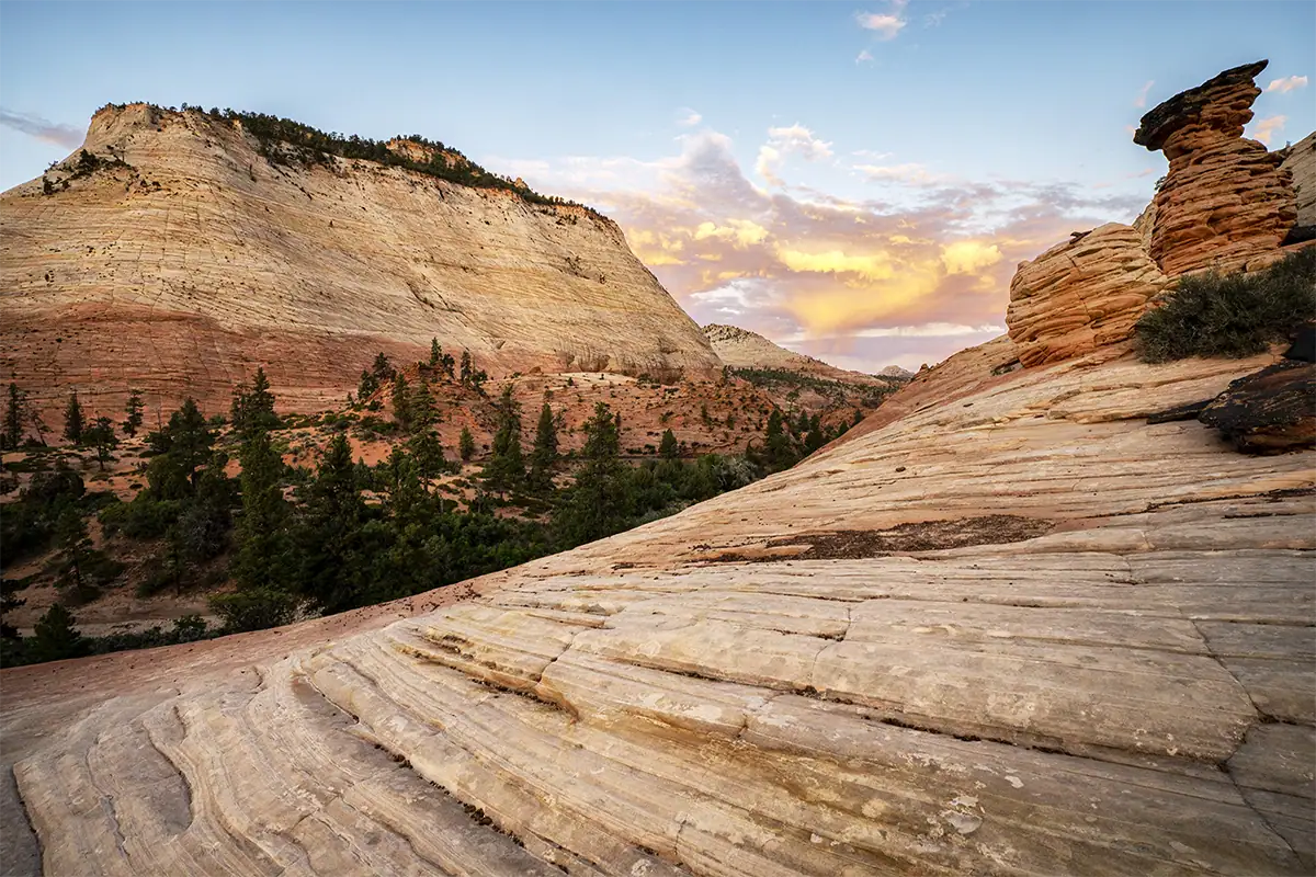 Wide-angle landscape photo of Zion rock formations with foreground texture, distant cliffs, and sunset sky.