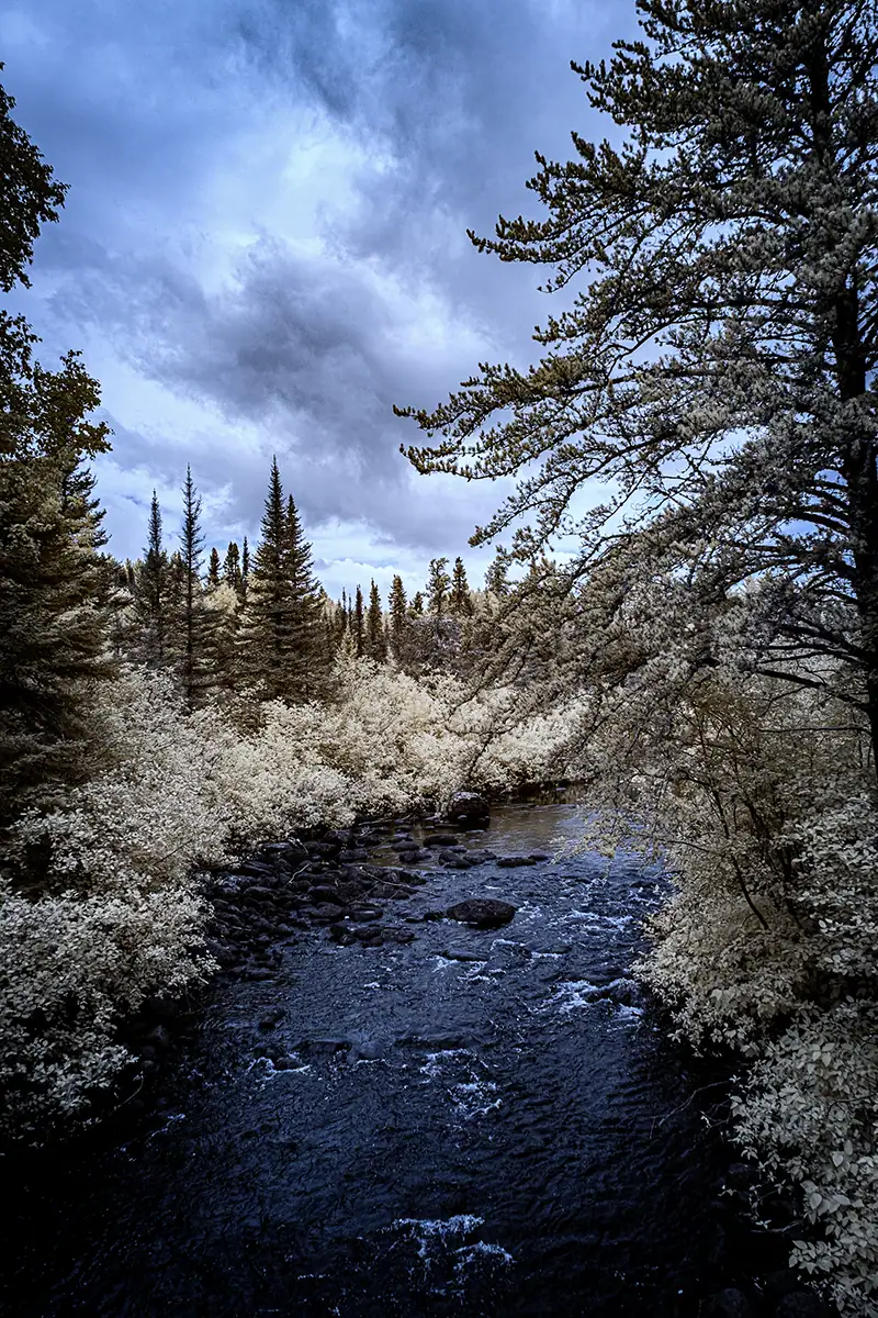 A flowing river with trees on both sides.