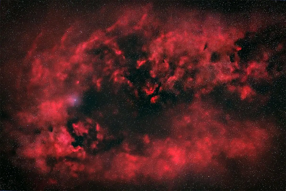 Wide-field deep sky astrophotography image of red nebulae and stars in the Cygnus region.