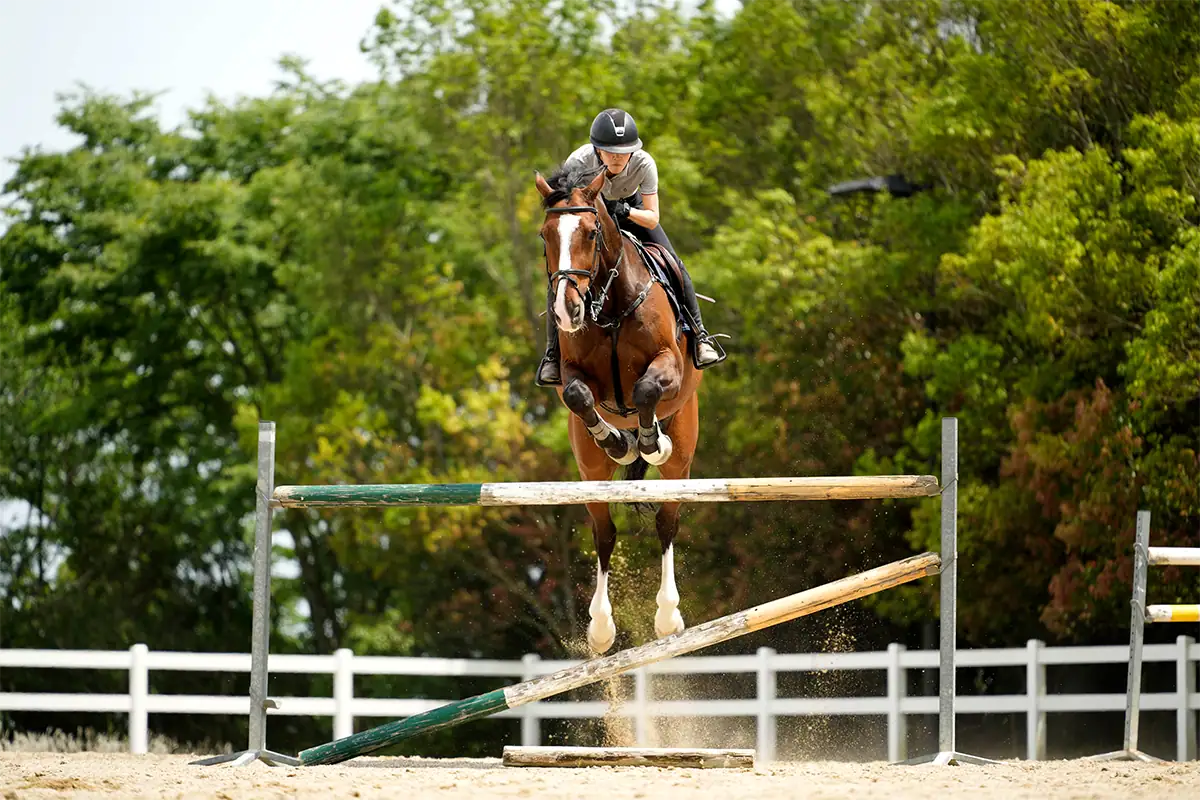 An equestrian rider and horse clear a jump during an outdoor sports photography session.