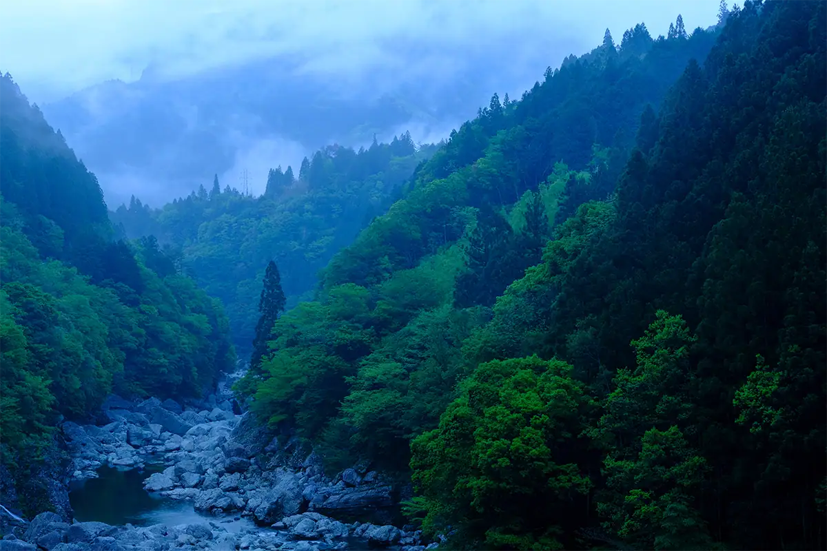 Mist hangs over a forested mountain valley with a rocky stream running through the scene.