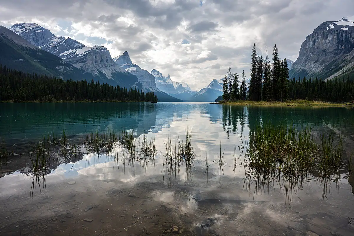 A mountain lake reflects dramatic clouds, evergreen trees, and snow-covered peaks with reeds in the foreground.