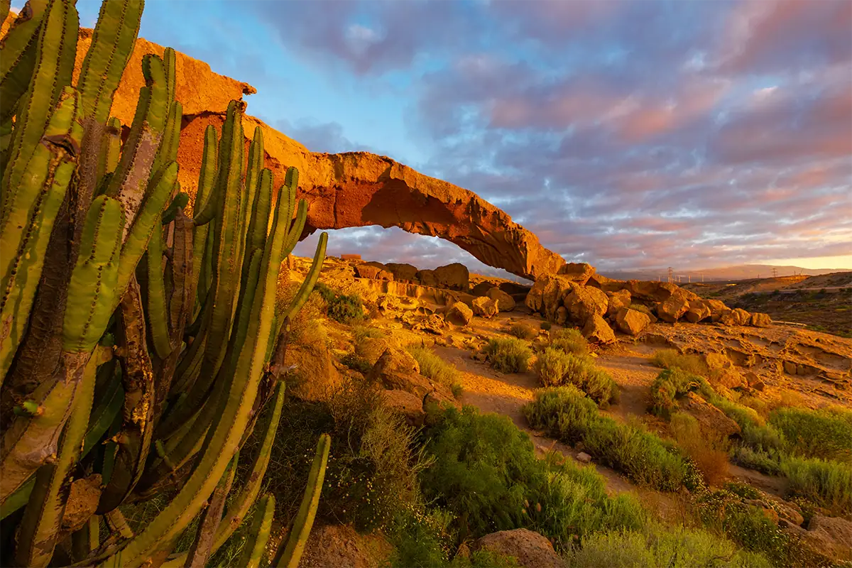 A wide-angle desert landscape shows cactus in the foreground, a rock arch, and colorful evening clouds.