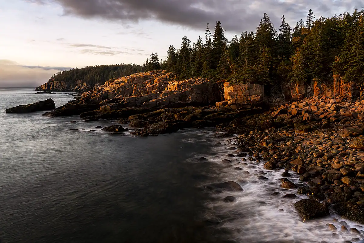 A rocky coastline with evergreen trees is lit by warm light beneath a dark, dramatic sky.