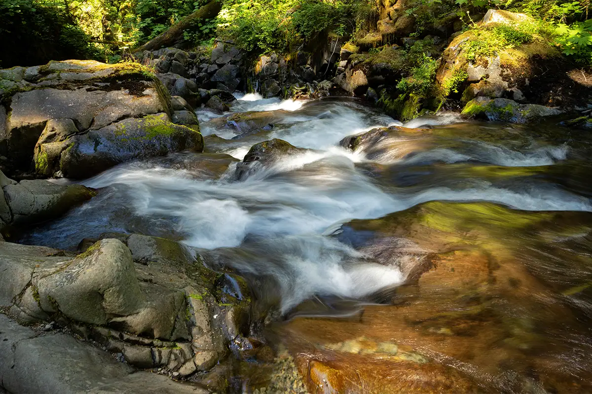 A forest stream flows over mossy rocks with smooth water movement and dappled sunlight.