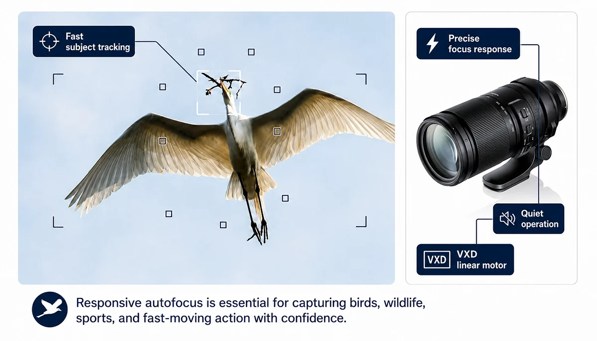 Infográfico sobre o foco automático que mostra um pássaro branco sendo rastreado em voo com a lente Tamron 150-500 mm, com legendas destacando o rastreamento rápido do objeto, a resposta precisa do foco, o funcionamento silencioso e o motor linear VXD.