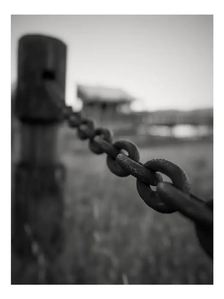 A close-up of a chain link.