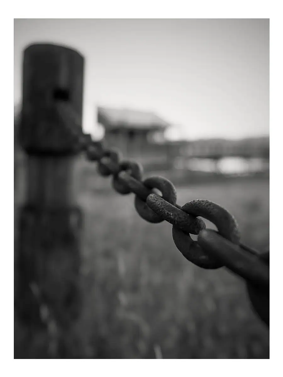 A close-up of a chain link.