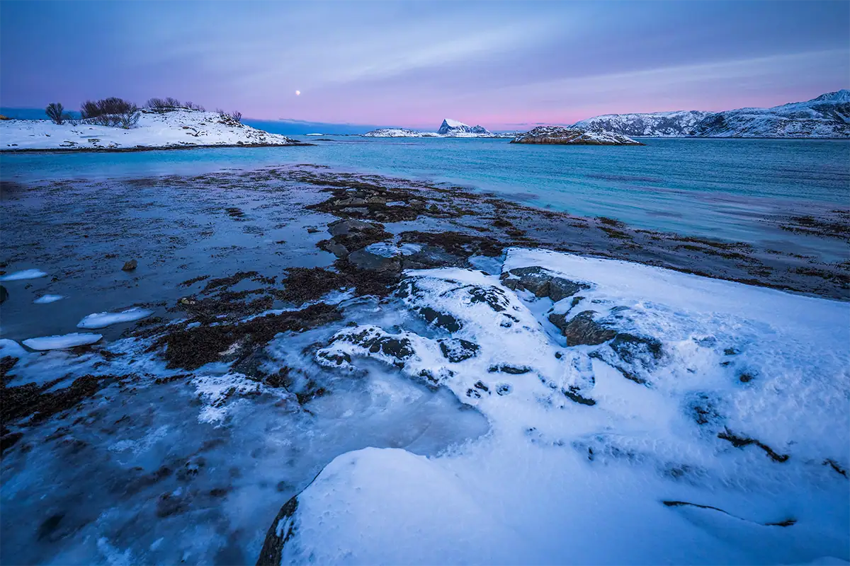 Litoral rochoso coberto de neve e águas costeiras calmas sob um céu crepuscular azul e rosa na Noruega.