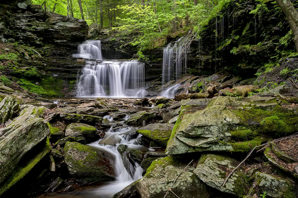 Long-exposure photograph of a forest waterfall with smooth flowing water created using a neutral density filter.