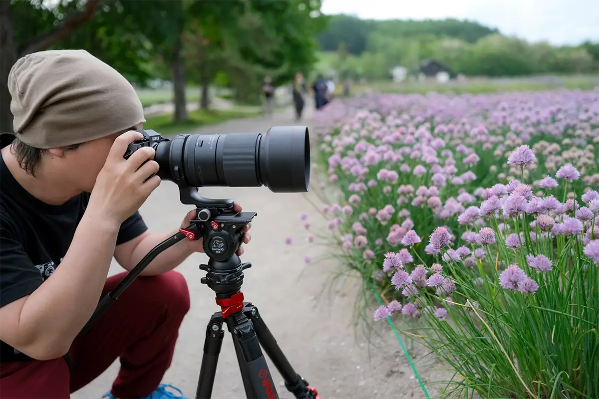 Photographer using a camera with a telephoto lens mounted on a tripod beside a field of purple flowers.