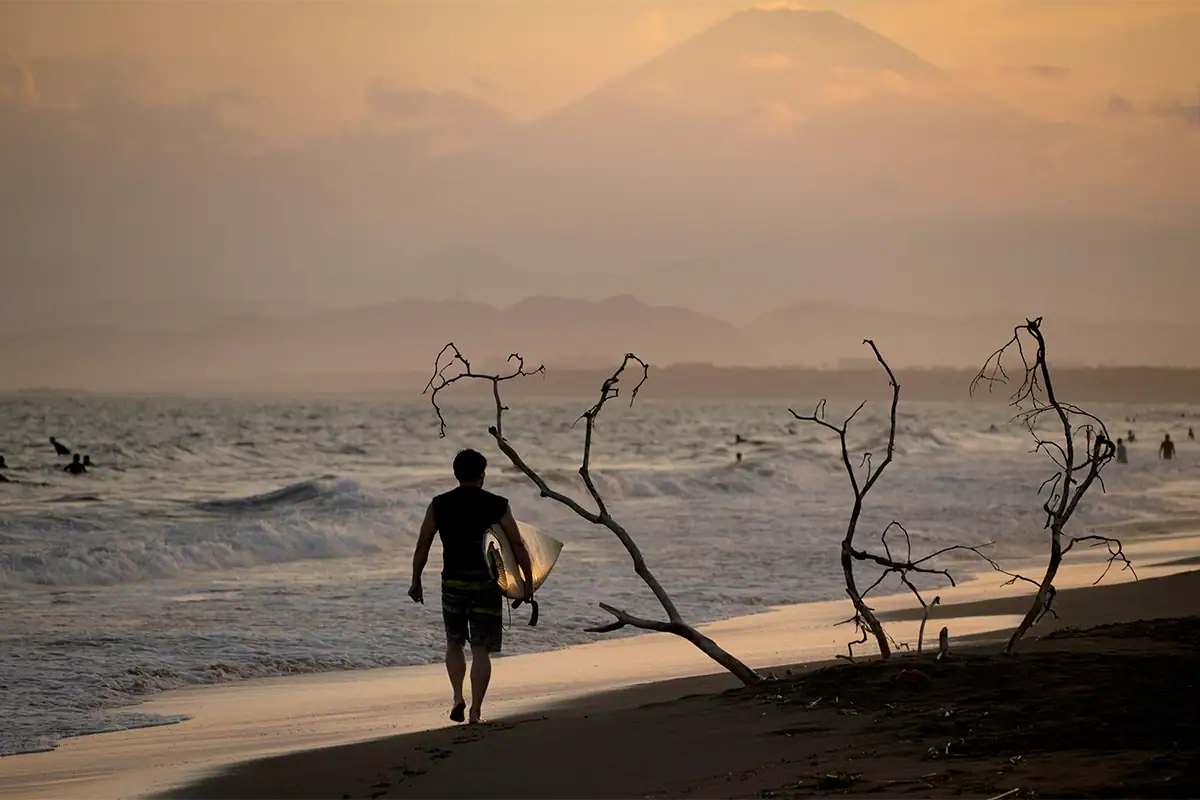 Surfer carrying a board along the shoreline at sunset with ocean waves, silhouetted branches, and a distant mountain in the background.