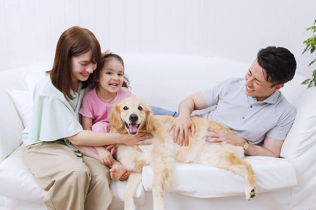 Parents and daughter sitting together on a sofa while petting their golden retriever.