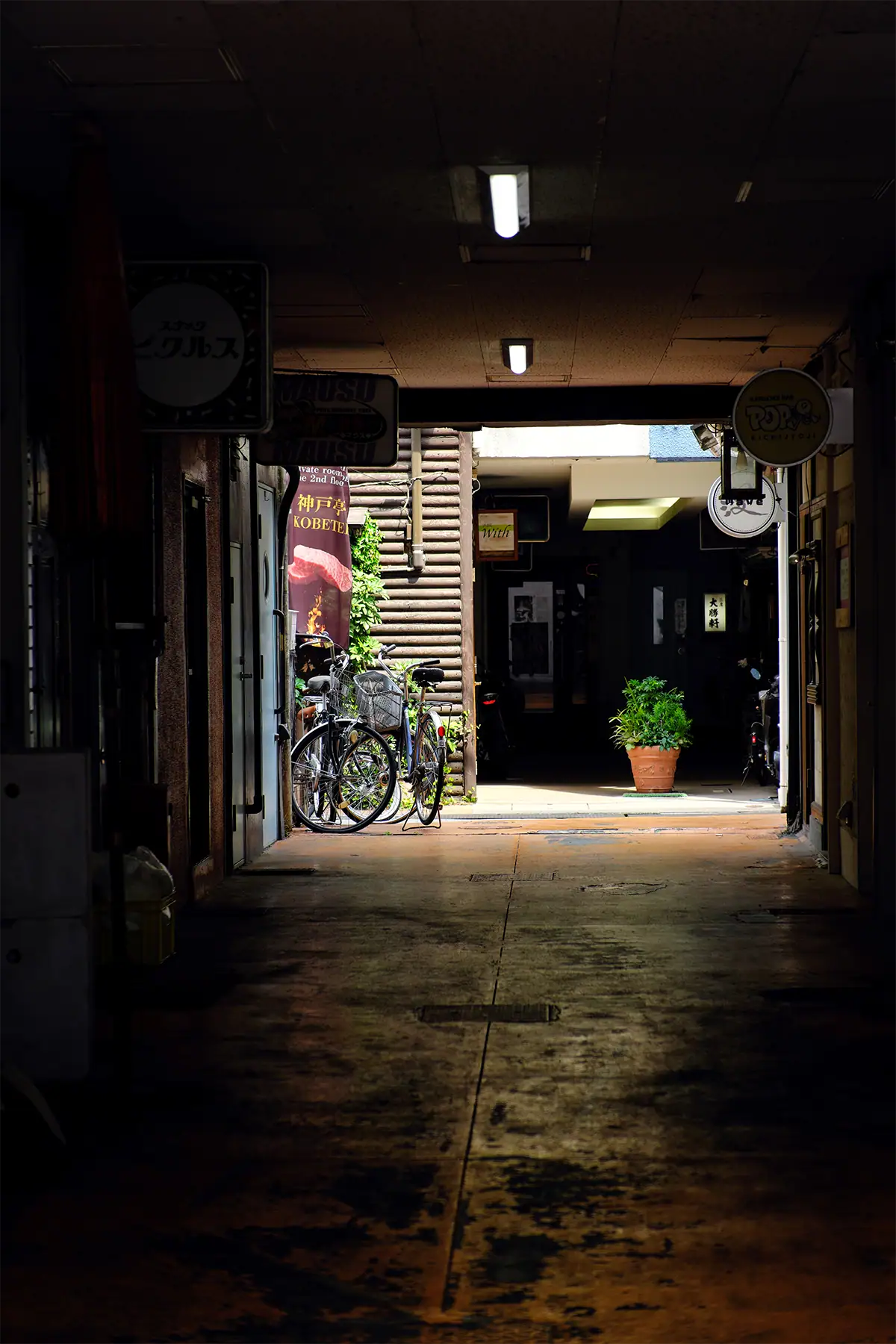 Dark urban passageway opening onto a brightly lit courtyard with bicycles, storefront signs, and a potted plant.