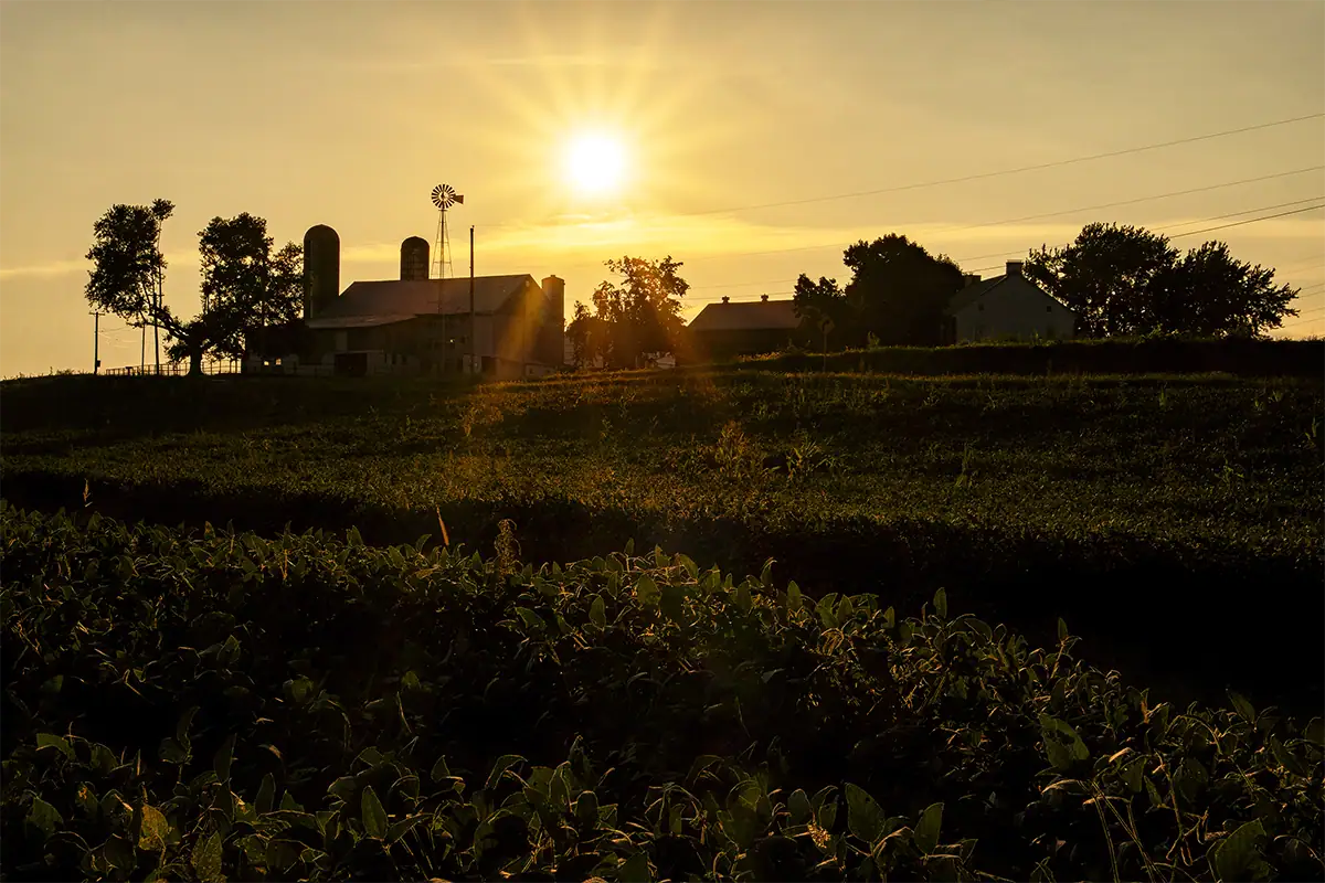 Lancaster County farm buildings, silos, and a windmill silhouetted beneath a golden setting sun.