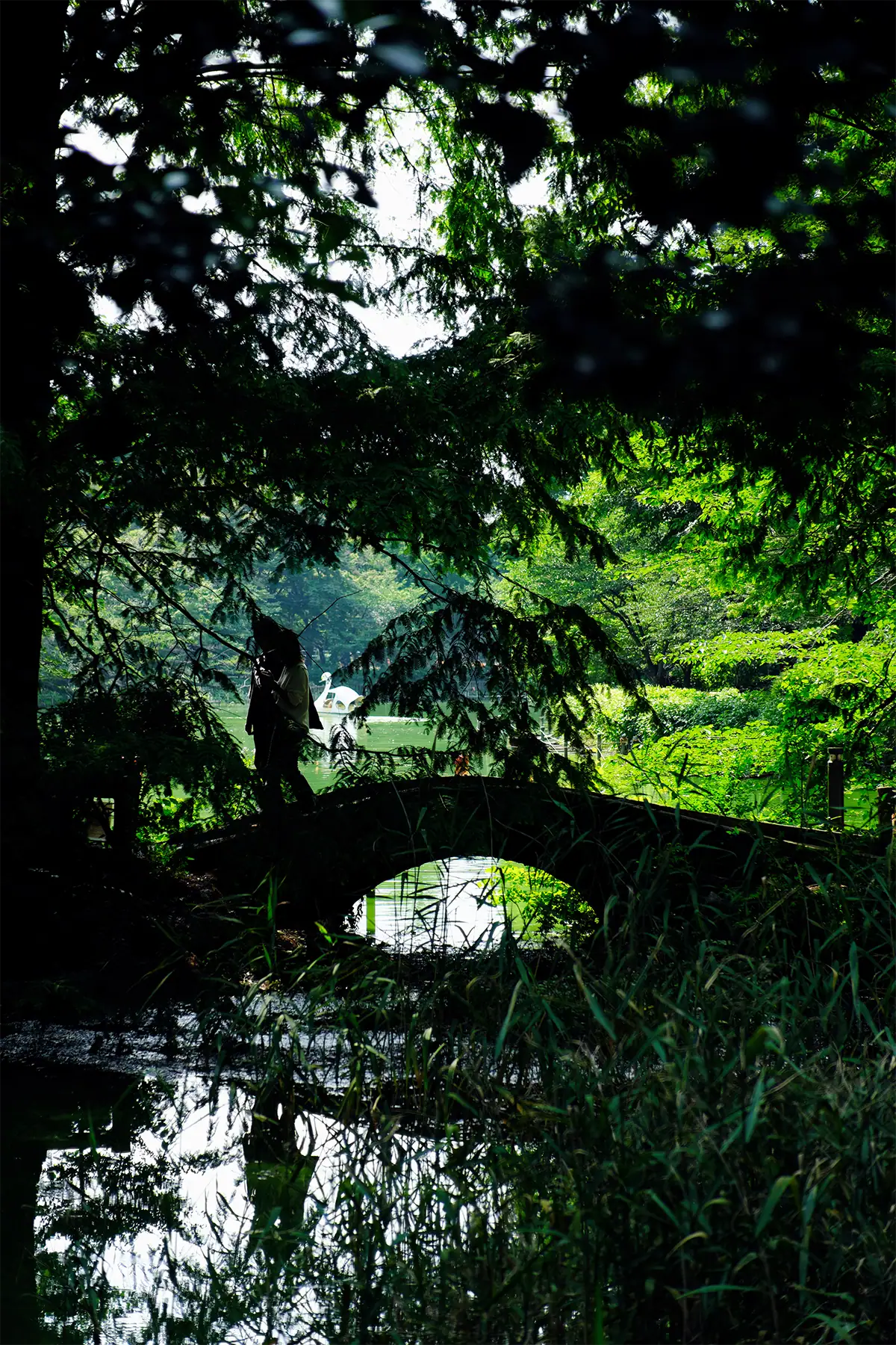 Silhouetted person crossing a small stone bridge surrounded by dense green trees and reflected water.