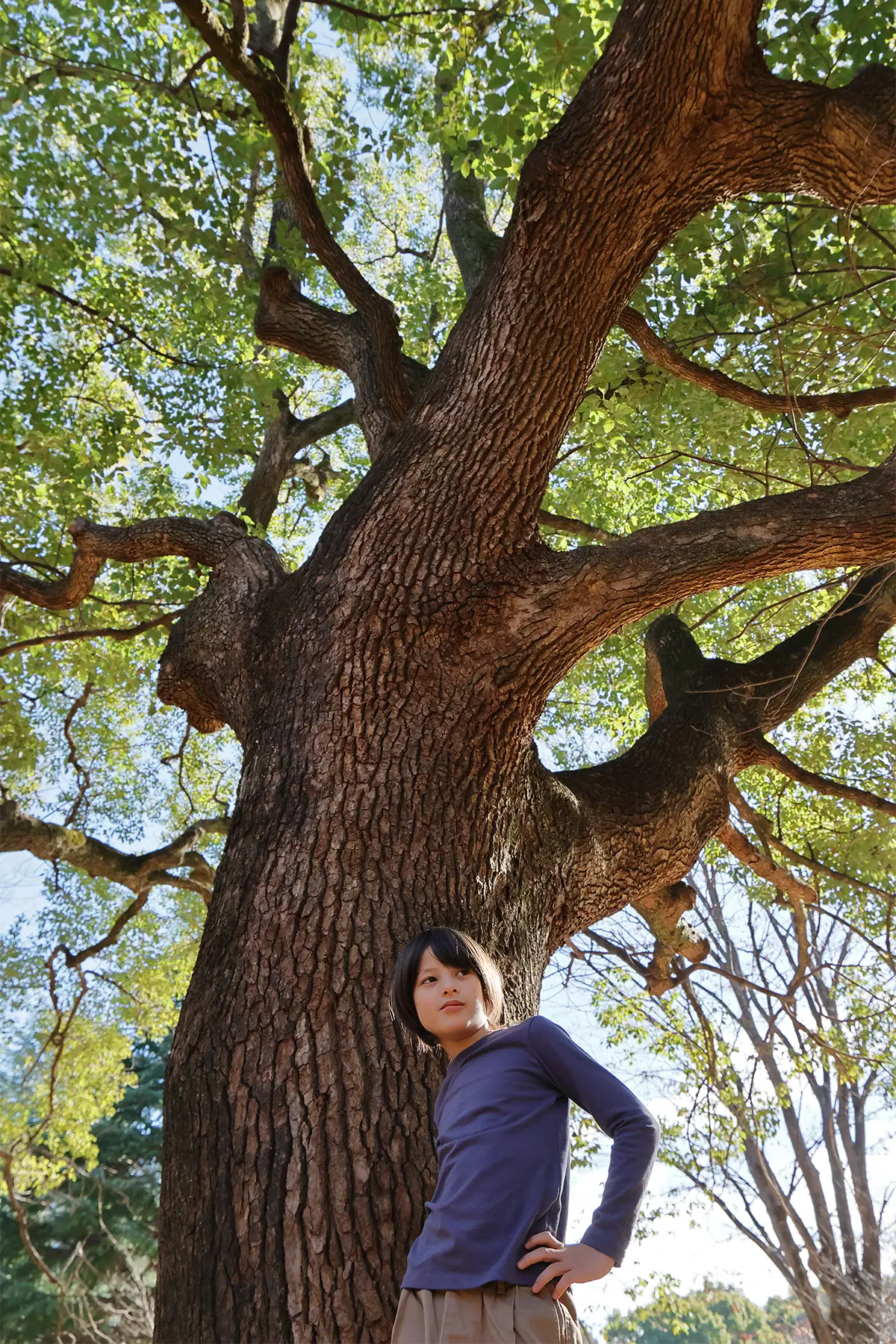 Child standing beneath a large spreading tree in an environmental portrait, photographed at 17mm with the Tamron 17-70mm F2.8.
