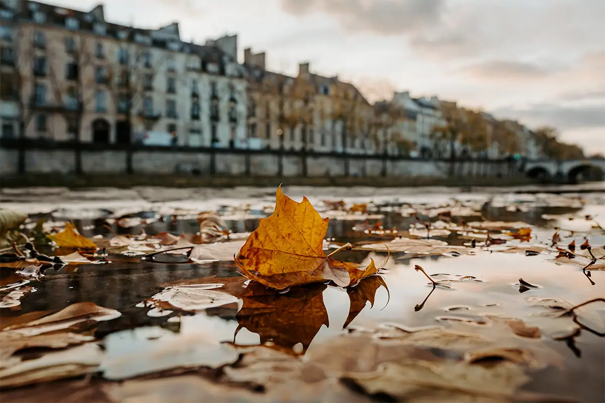 Hoja dorada de otoño reflejada en un charco, con los edificios de París ligeramente desenfocados al fondo, fotografiada con el Tamron 17-70 mm F2.8.