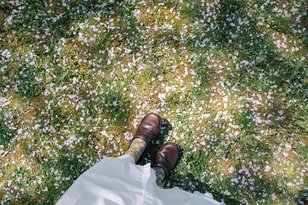 Downward view of shoes among fallen cherry blossom petals and grass in dappled sunlight, photographed at 27mm.