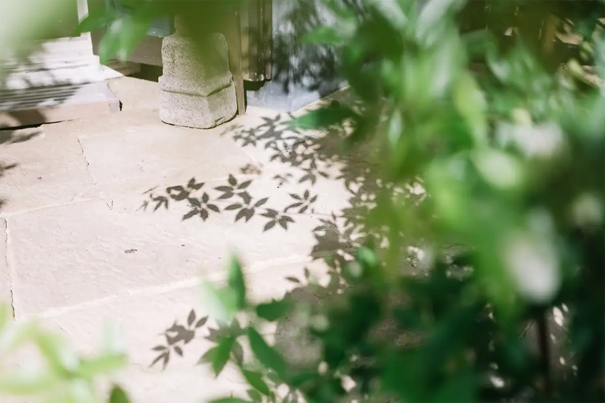 Leaf shadows on sunlit stone framed through softly blurred green foliage, photographed at 40mm F2.8.
