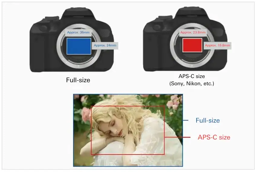 Diagrama comparando os tamanhos dos sensores full-frame e APS-C, com uma imagem de exemplo que mostra como o sensor APS-C recorta o campo de visão em comparação com o full-frame.