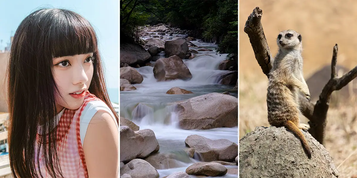 Imagem composta por três painéis que mostra a versatilidade da lente Tamron 18-300 mm para câmeras sem espelho com sensor APS-C, com um retrato natural, uma paisagem de riacho rochoso e uma foto de vida selvagem de um suricate.