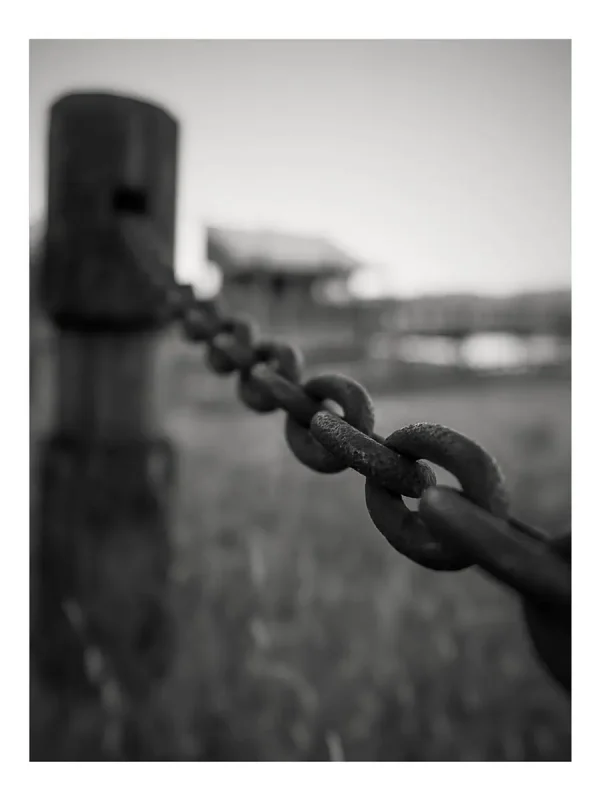 A close-up of a chain link.